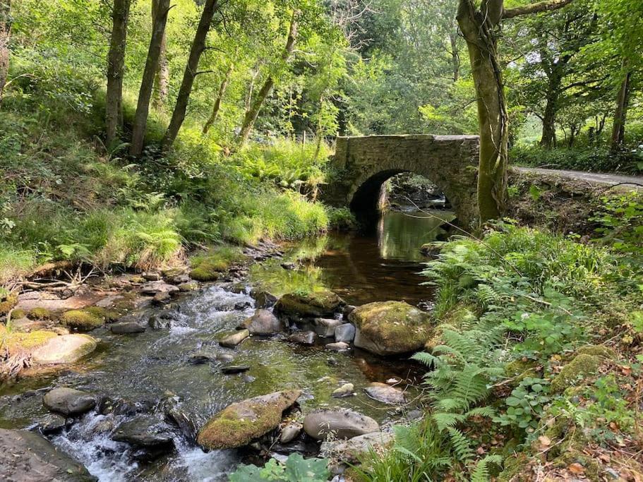 Bear Cottage, Tyn Y Cwm Eglwys-Fach Екстериор снимка